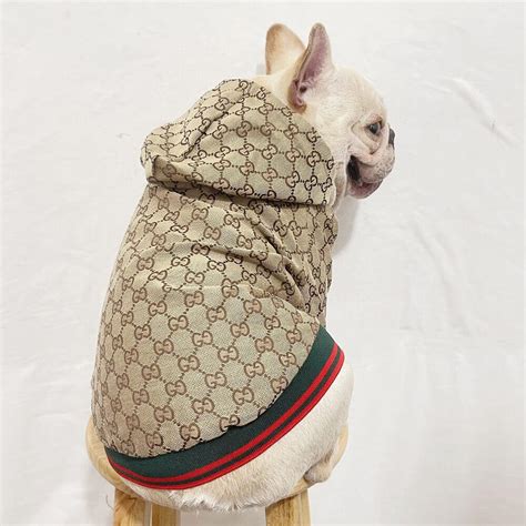 gucci dog clothing.